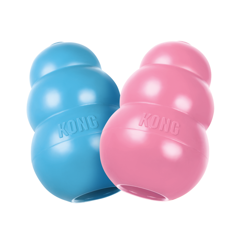 Kong cachorro XS |Barf Canarias|