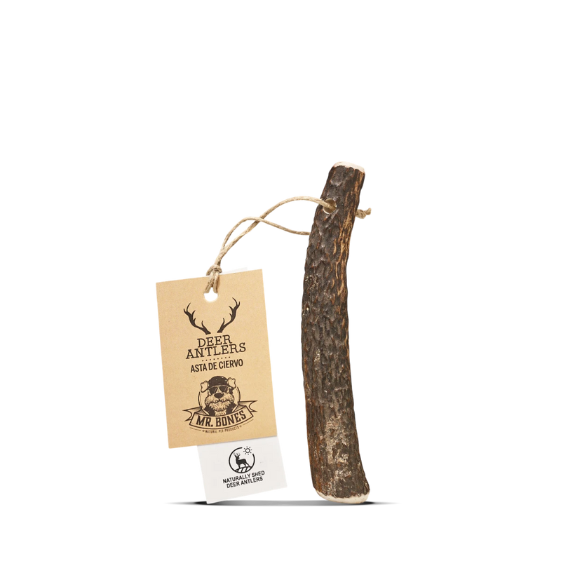 MR.BONES Asta de Ciervo para perros – Mordedor natural para perros Talla S