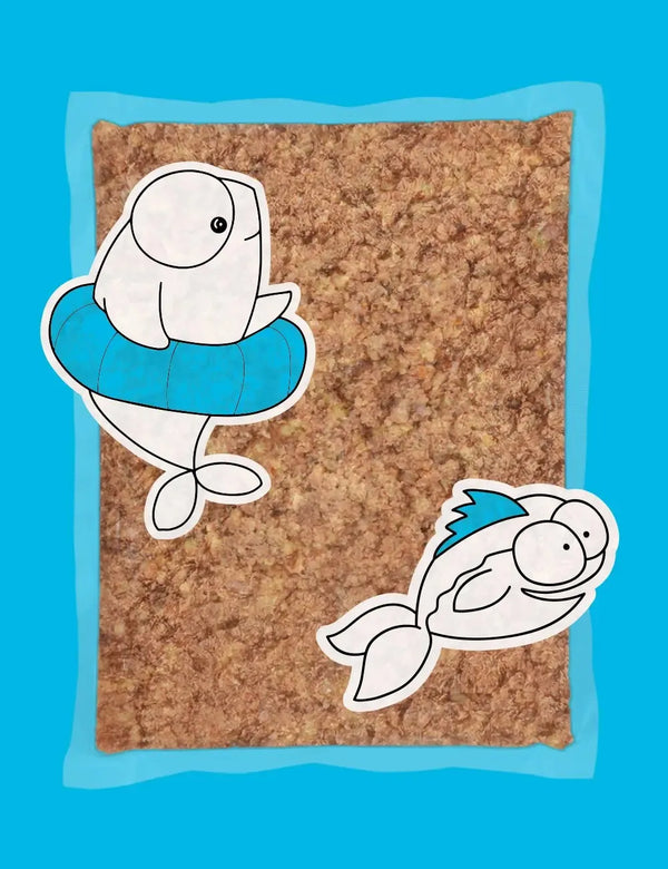 guau and cat canarias