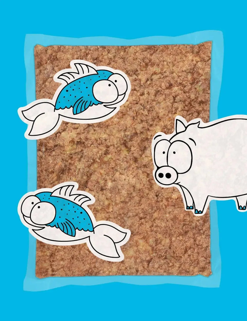 guau and cat canarias