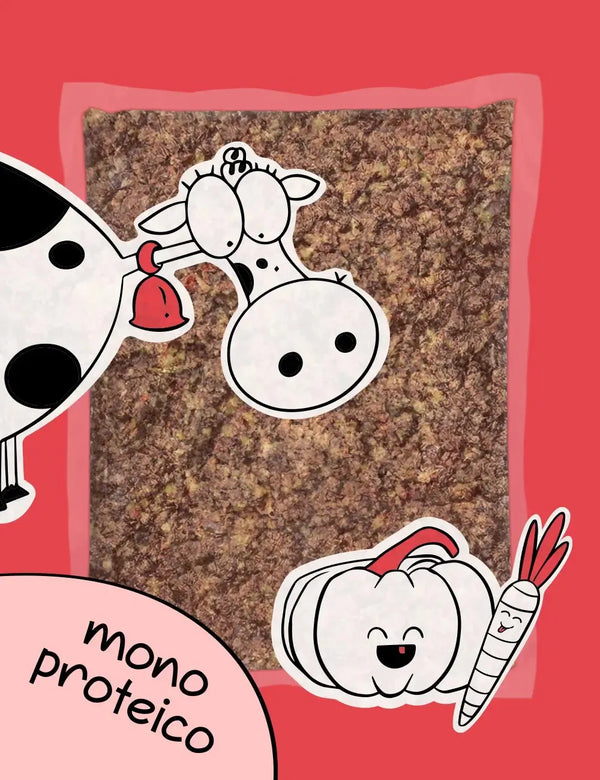 guau and cat canarias