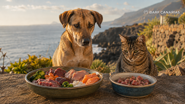 Nutrición evolutiva en perros y gatos | Barf Canarias