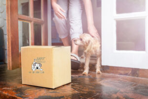 Dieta Natural canina y felina