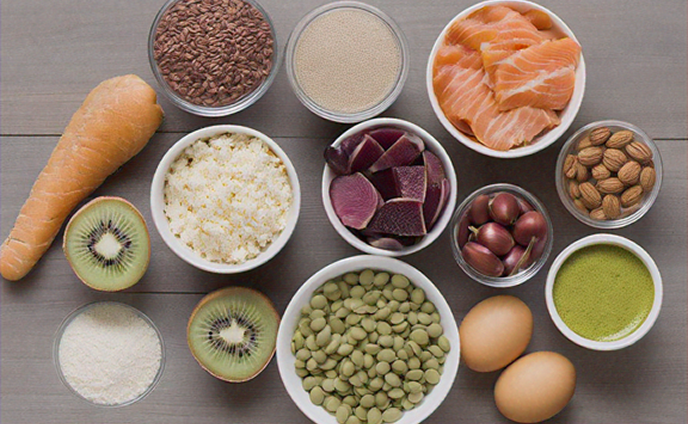 ¿Qué es la dieta BARF para perros? Descubre la guía Premium Taste de gran formato en Barf Canarias