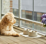 Bol Vega™ Dog copenhagen