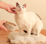 Food For Joe Porkitup - menú de cerdo para gatos 200g