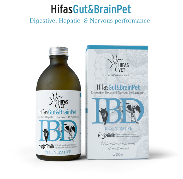 Hifas VET GUT&BRAIN