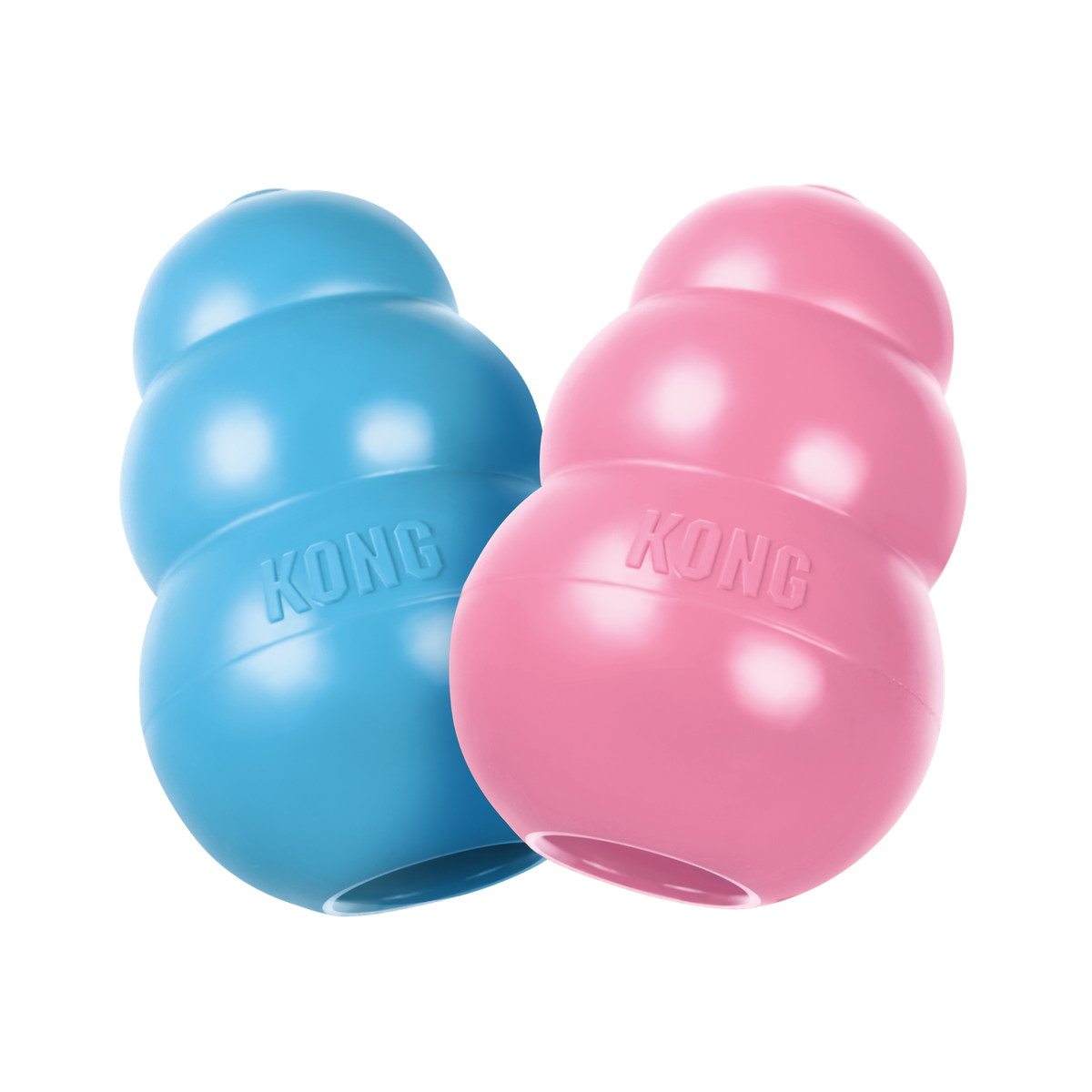 Kong cachorro XS |Barf Canarias|