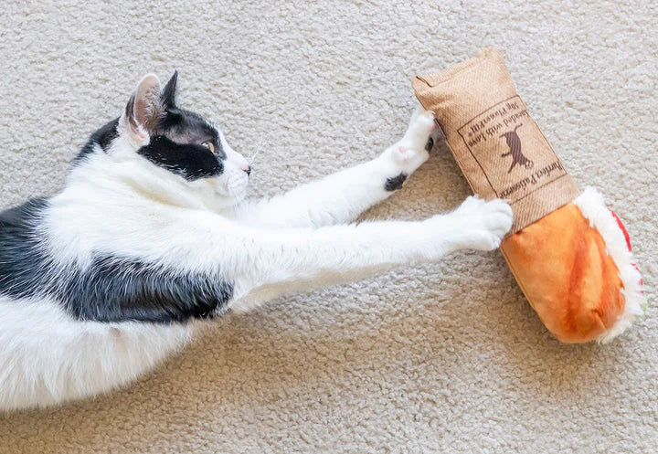 PELUCHE DE GATO BAGUETTE DE ATUN ¡¡¡¡ gatos