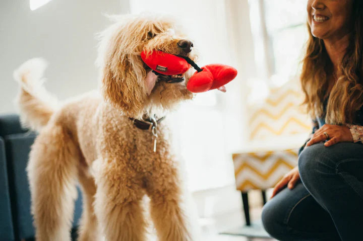 Peluche Puppy Love Fur-ever Corazones, perros y gatos