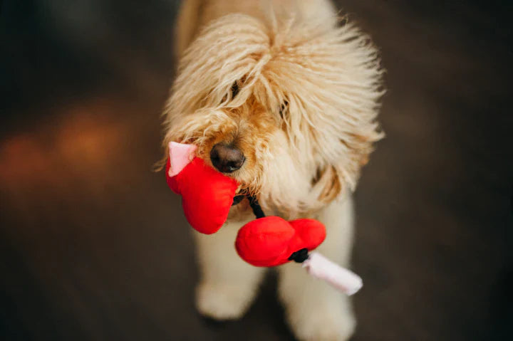 Peluche Puppy Love Fur-ever Corazones, perros y gatos