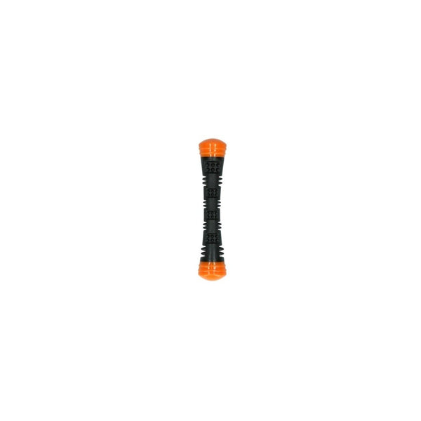 dog comets meteor throwing stick