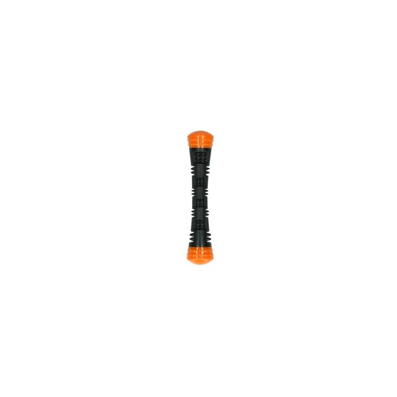 dog comets meteor throwing stick