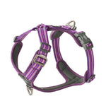 Arnés DOG Copenhagen Comfort Walk Air™ - V3