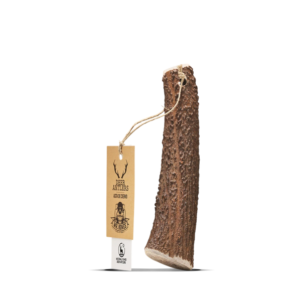 MR.BONES Asta de Ciervo para perros – Mordedor natural para perros Talla M