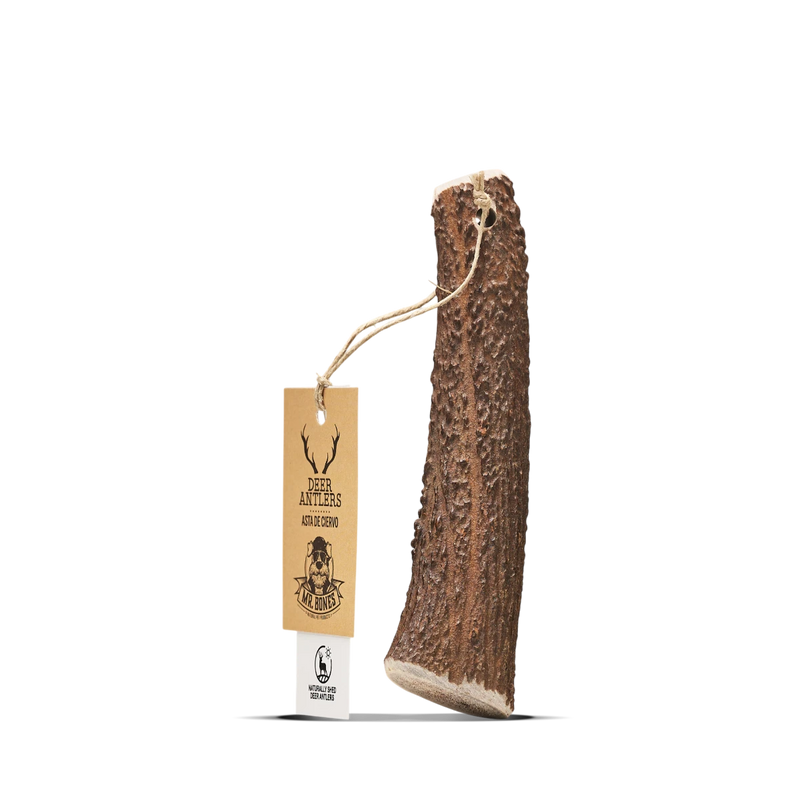 MR.BONES Asta de Ciervo para perros – Mordedor natural para perros Talla M
