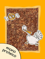 guau and cat canarias