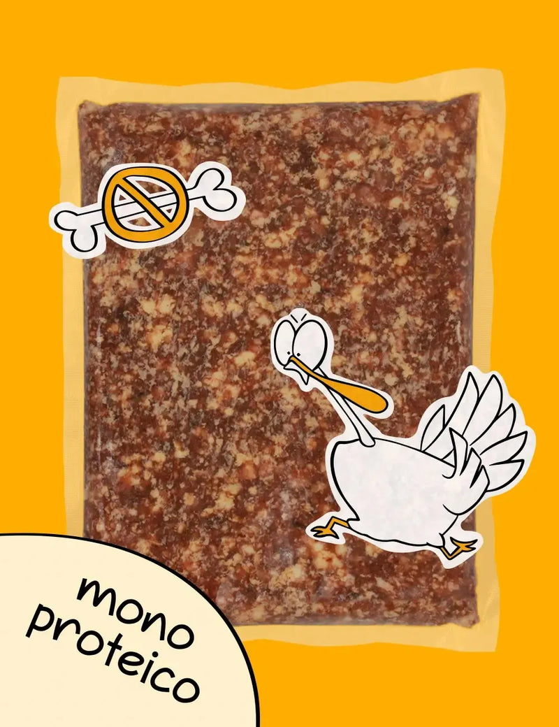 guau and cat canarias