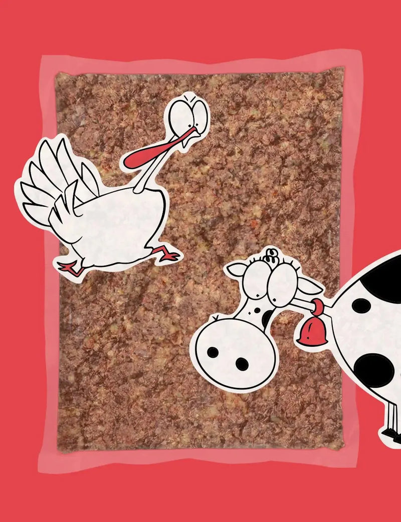 guau and cat cocinado canarias