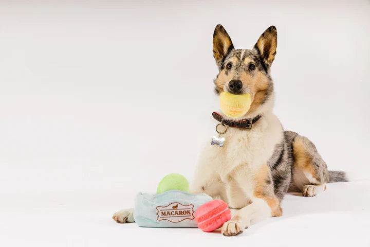 Peluche Macarons , perros y gatos