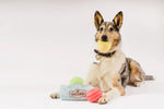 Peluche Macarons , perros y gatos