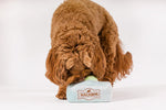 Peluche Macarons , perros y gatos