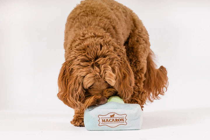 Peluche Macarons , perros y gatos