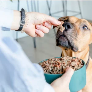 Beefit - menú de ternera para perros 200g - Imagen 4