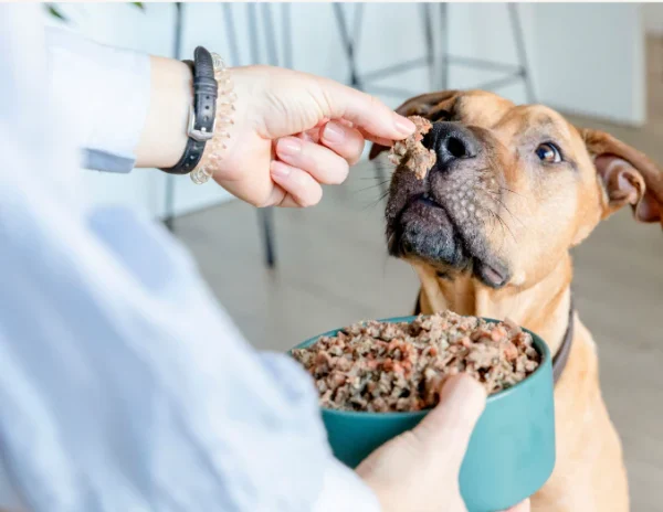 Beefit - menú de ternera para perros Food For Joe 200g - Imagen 4