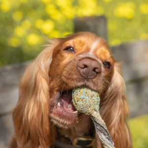 CHEWY POP COOKAS COOKIES - Imagen 2
