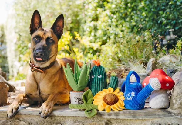 Peluche perri-seta , perros y gatos - Imagen 3