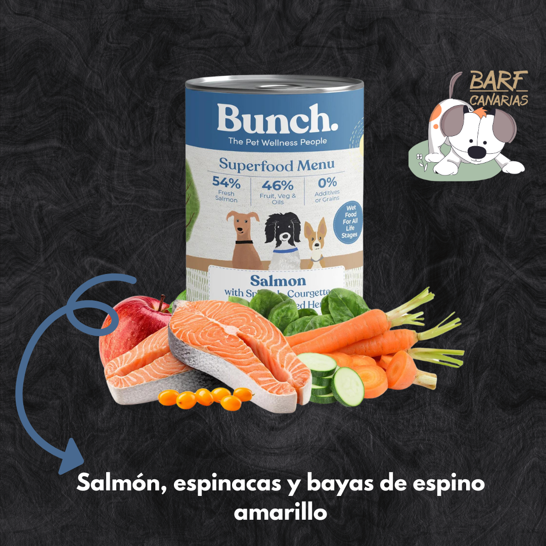 Comida humeda BUNCH Salmón y bayas |Barf Canarias|