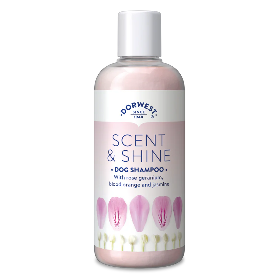 Champu Scent and Shine |Barf Canarias| 250ml