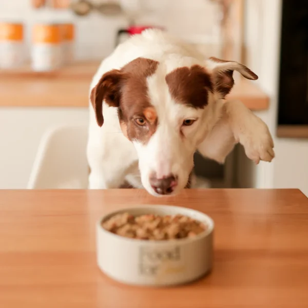 Roosterbooster - menú de pollo para perros Food For Joe 200g - Imagen 4