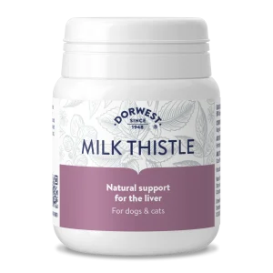 Dorwest Cardo Mariano, apoyo hepatico |Barf Canarias|100 pcs