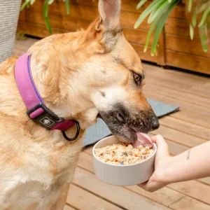 Bigfish - menú de pescado para perros 400 g - Imagen 4