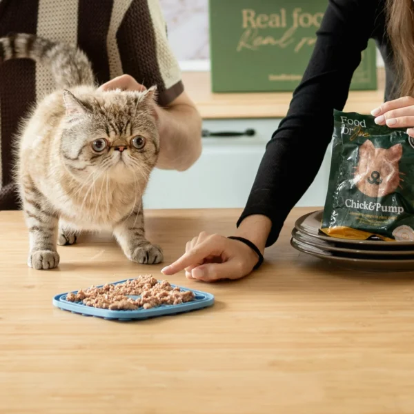 Chick&Pump - menú de pollo para gatos Food For Joe 200g - Imagen 4