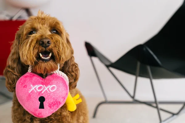 Peluche Love Bug te amo un candado, perros y gatos - Imagen 2