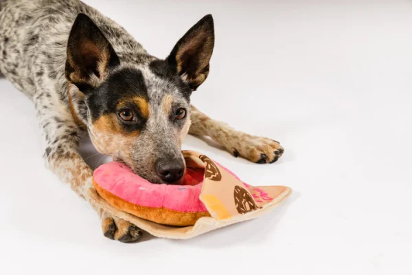 Peluche Donut , perros y gatos - Imagen 4