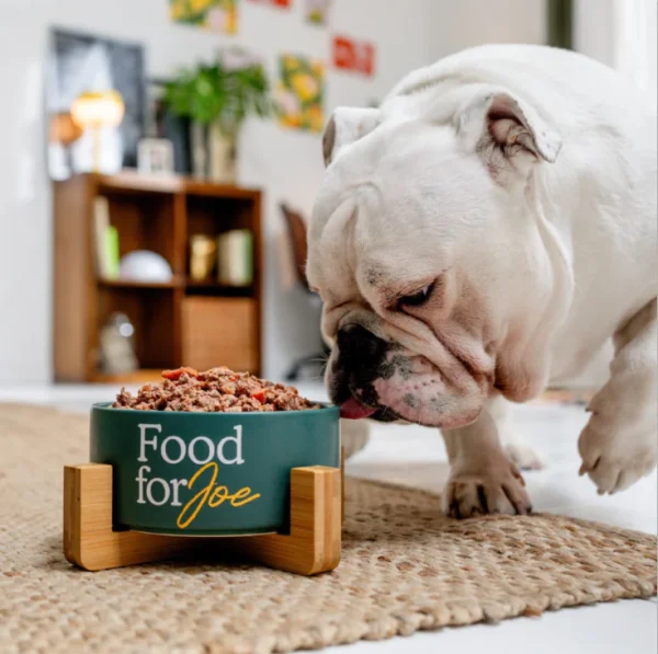 Giant Pollo -  perros Food For Joe 1200gr - Imagen 5