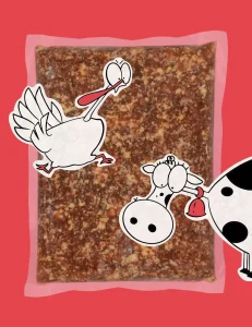 guau and cat canarias